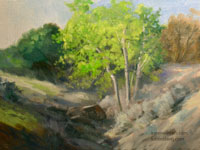 Hillside Sycamores