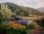 Garden at the Ranch - Marcia Burtt's flower garden