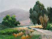 spring to summer, fallbrook